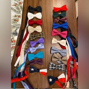 Elegant Multicolor Bow Tie Collection 2 Texas lonestar
